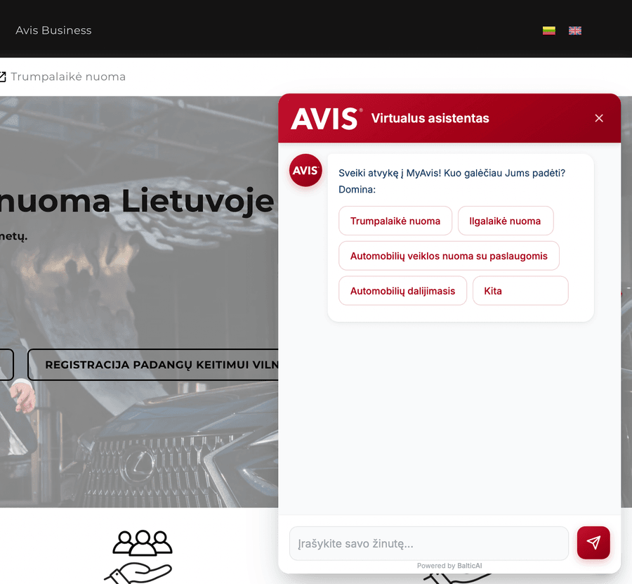Auto nomas asistents AVIS